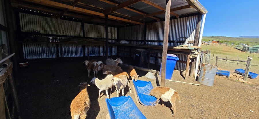 2 Bedroom Property for Sale in Twee Riviere Eastern Cape